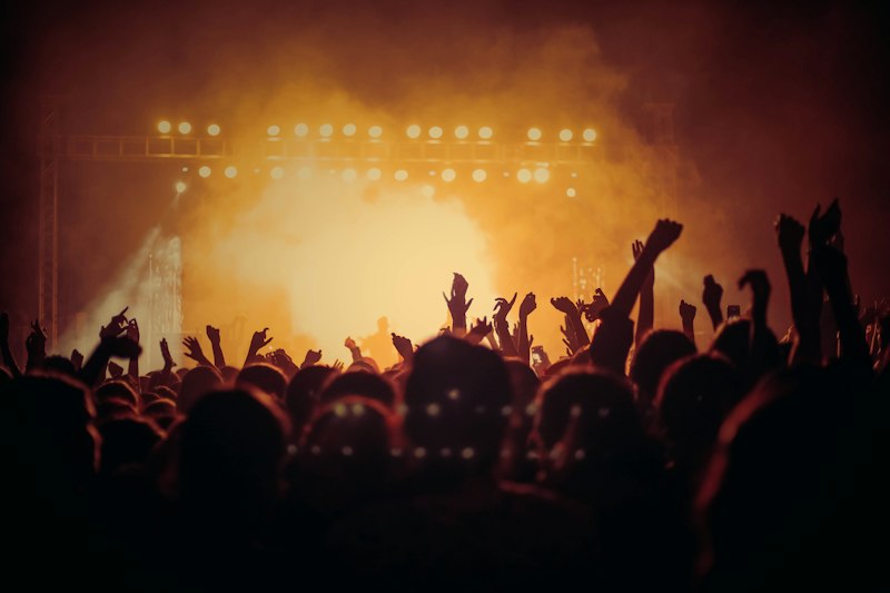 Concert crowd hands